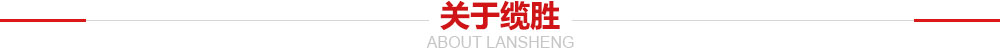 关于缆胜 关于缆胜